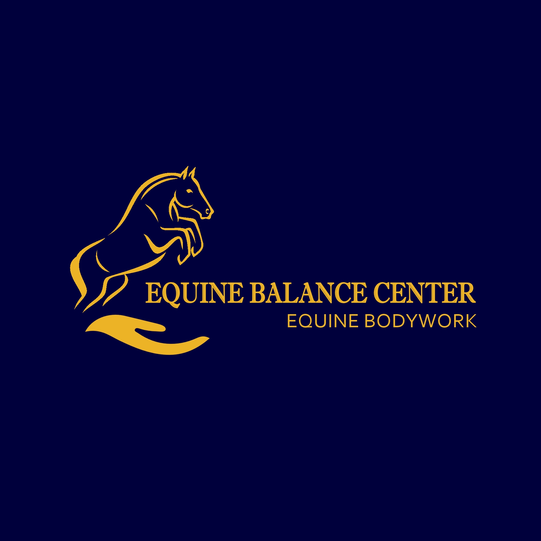 Equine Balance Center For Socials